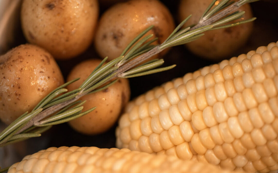 What Foods Should Be Avoided on the Starch Free Diet?